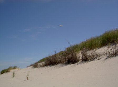 Fotos Norderney Dünenlandschaft