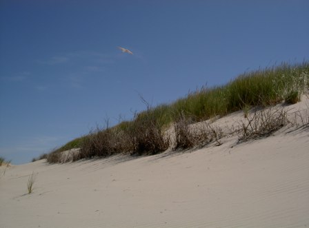 Norderney Foto Huegel Dünen