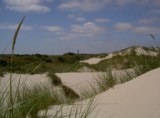Foto Ostfriesland Dünenlandschaft Nordsee Norderney Fotolandschaft