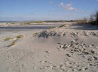 FKK Strandkorb an der Oase Oststrand Meer