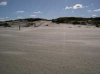 FKK Strandkorb an der Oase Oststrand Nordsee Leer Norderney Strand Oase