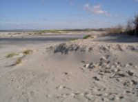 FKK Strand Norderney Oase am Oststrand Ney Norderney Oase