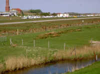 Wiesen am Flugplatz Norderney