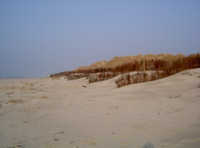 Nordsee Oststrand Haus Detmold Norderney Oststrand Haus Detmold