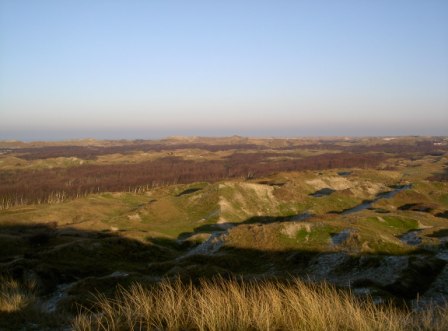 Norderney Dünenlandschaft Zuckerpad Zuckerpad Dünenlandschaft der Insel