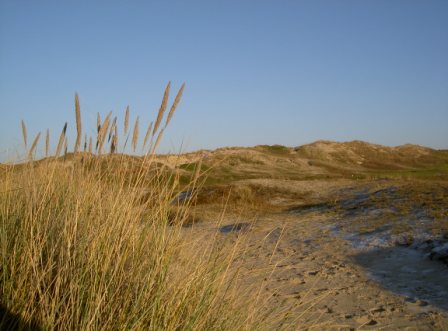 Norderney mit der Dünenlandschaft Zuckerpad Zuckerpad der Insel Ney Dünenlandschaft