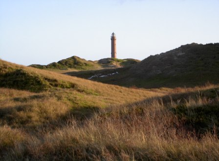 Aussichtsdüne mit Blick zum Leuchtturm Dünenlandschaft Zuckerpad Leuchtturm Blick Aussichtsdüne Zuckerpad Dünenlandschaft