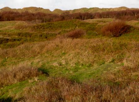 Norderney mit der Dünenlandschaft Zuckerpad Insel mit Zuckerpad Dünenlandschaft