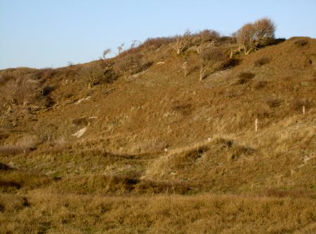 Dünenlandschaft Zuckerpad Zuckerpad Dünenlandschaft